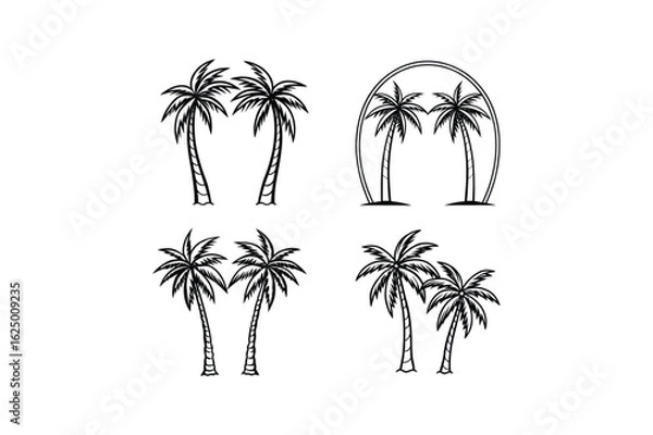 Fototapeta palm tree 