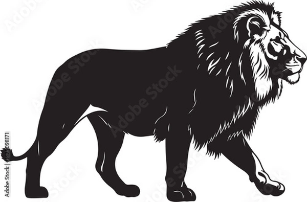 Obraz lion vector illustration