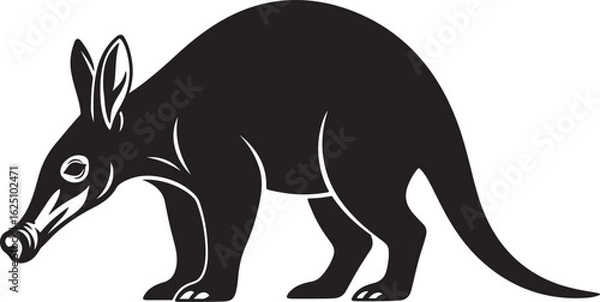 Obraz kangaroo vector illustration