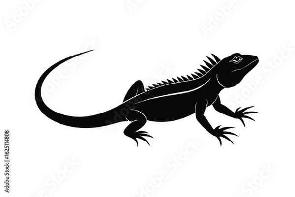 Obraz bearded dragon lizard