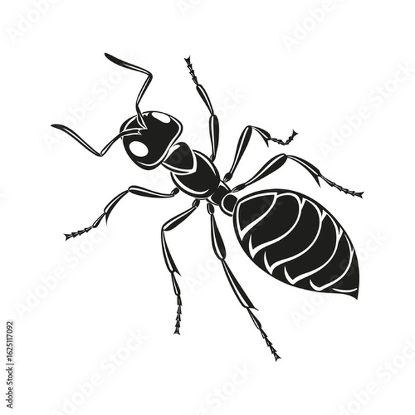 Obraz ant vector illustration