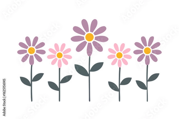 Obraz Lavender daisy row in flat illustration style