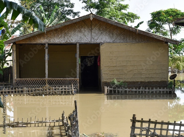 Fototapeta A clay and bamboo made house partially submerged by floodwater in Assam
