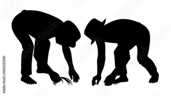 Fototapeta Silhouette of two people bending over and appearing to be picking something up from the ground outdoors