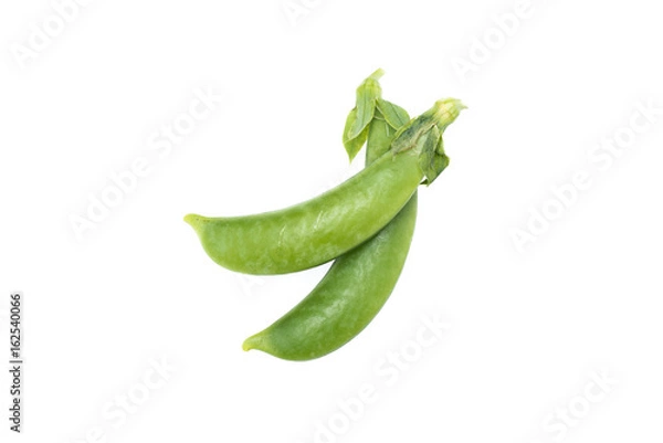 Obraz さやえんどう