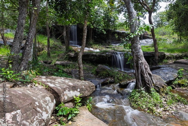 Fototapeta A peaceful view of Than Nam Sai waterfall, a small clear stream in Phu Pha Yon National Park, Thailand. Surrounded by green trees, perfect for nature, travel, and landscape concepts.