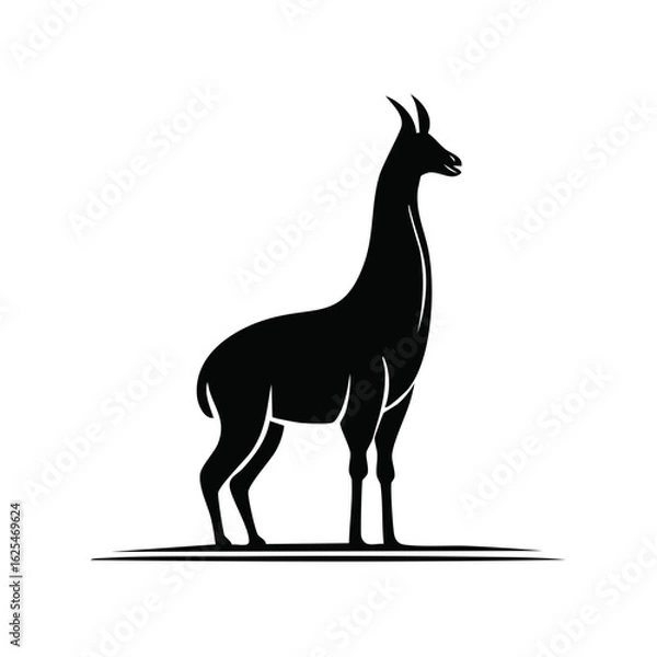 Fototapeta Elegant black llama profile silhouette, a simple clean vector graphic illustration