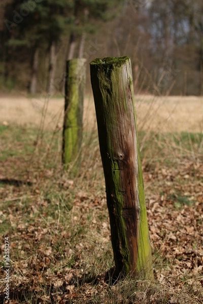 Obraz Holzzaun mit Tiefenunschärfe