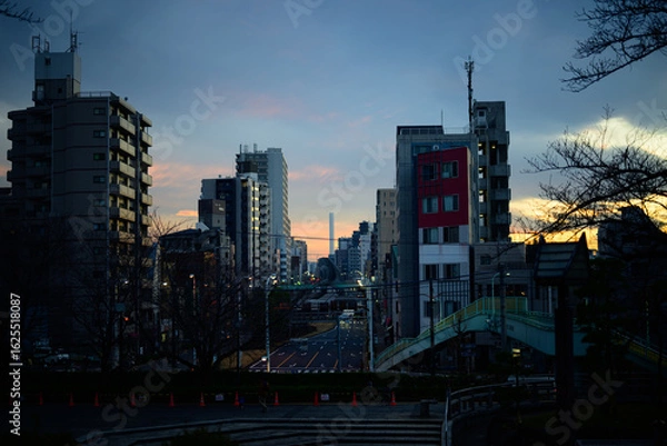Obraz 高台からの夕景とタワー