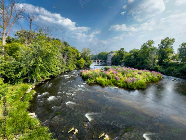 Fototapeta Flowing river by flower mill