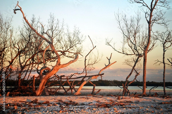 Obraz Sun Sets on Key Waden, Florida (1)