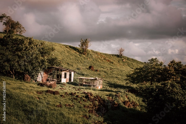 Obraz house on the hill