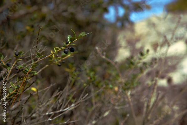 Fototapeta 夏の終わり・秋の始まり