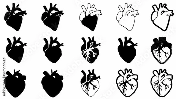Obraz Collection of anatomical heart illustrations in varying styles and levels of detail displayed in rows silhouette