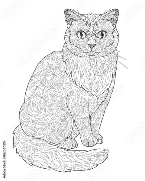 Obraz Cat doodle coloring book page for adults. Vector illustration isolated on white background.