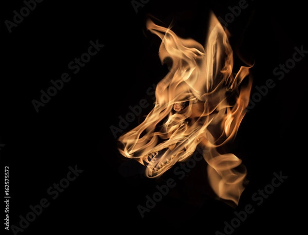 Obraz wolf drawing with fire effect structure on background