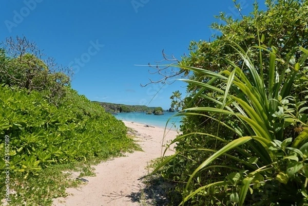 Fototapeta 海へ続く道