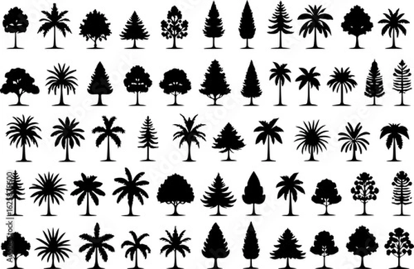 Obraz Tree Silhouettes, Forest Shapes, Pine Trees, Oak 