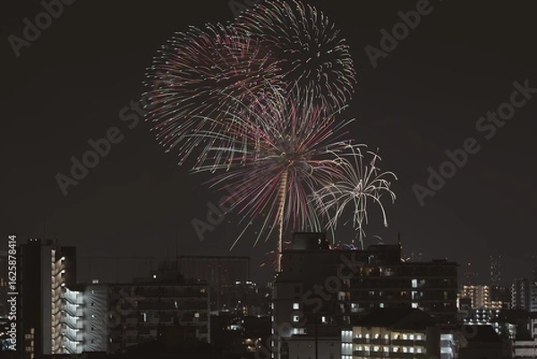 Obraz 夜空に咲く大輪の花火