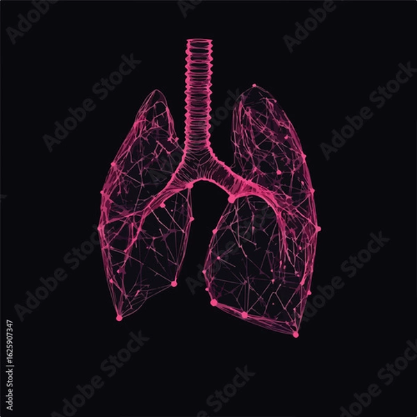 Fototapeta Low Poly Lung Wireframe on Dark Blue