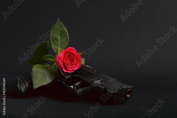 Obraz Gun and rose