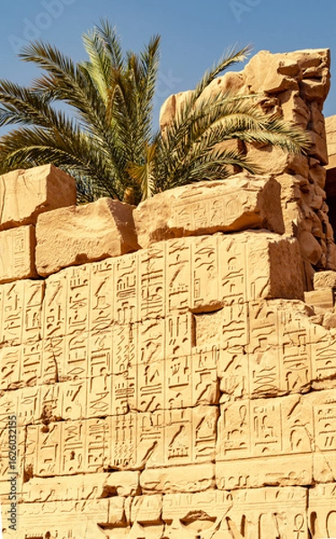 Obraz Palm tree rising behind ancient wall inscriptions in Karnak Temple in Luxor Egypt 28 February 2025