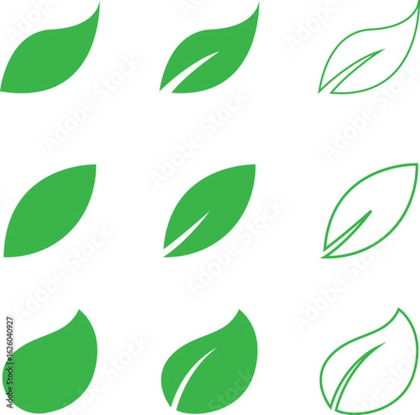 Fototapeta Collection of stylized green leaves, simple leaf shapes for nature themes