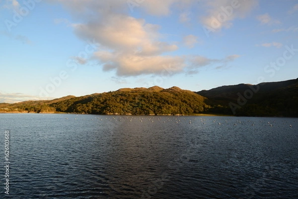 Obraz Schottland_2024_316