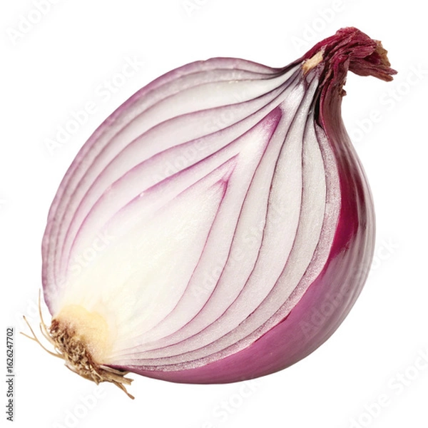 Fototapeta Fresh onion isolated on transparent background  
