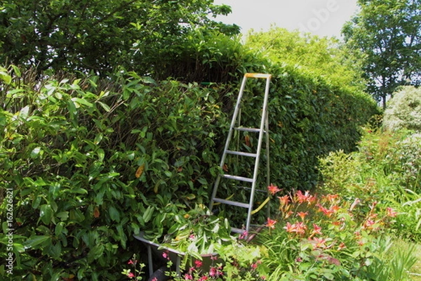 Obraz Matériel pour couper une haie