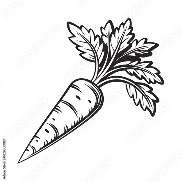 Fototapeta Carrot icon black vector, Adobe Illustrator Artwork