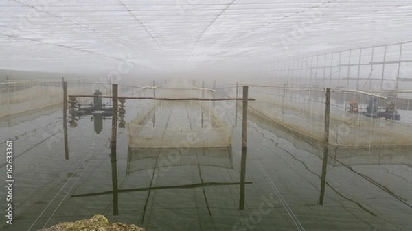 Obraz Green house fish farm in China