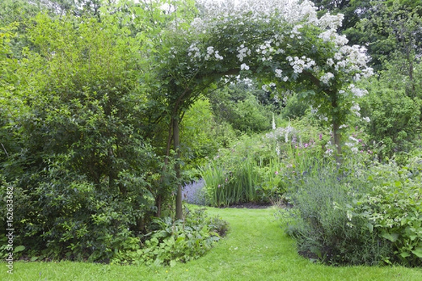 Obraz English cottage garden with white rose arch entrance, and colorful summer flowers in bloom .