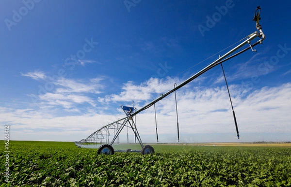 Obraz Irrigation tool