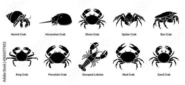 Fototapeta Collection of silhouettes of various crustaceans and marine life on a white background