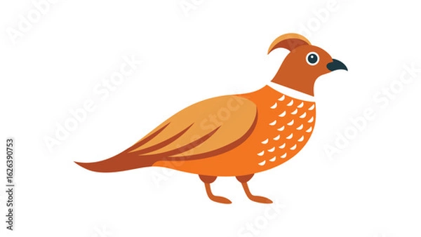 Fototapeta Quail bird with rounded body and plume feather ideal for ground bird and wild game themes Vector illustration.