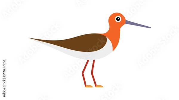 Fototapeta Sandpiper bird in wading pose along shoreline ideal for beach birds and tidal zone art Vector illustration.