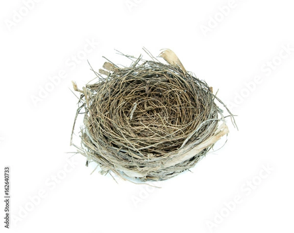 Fototapeta empty bird nest on white background
