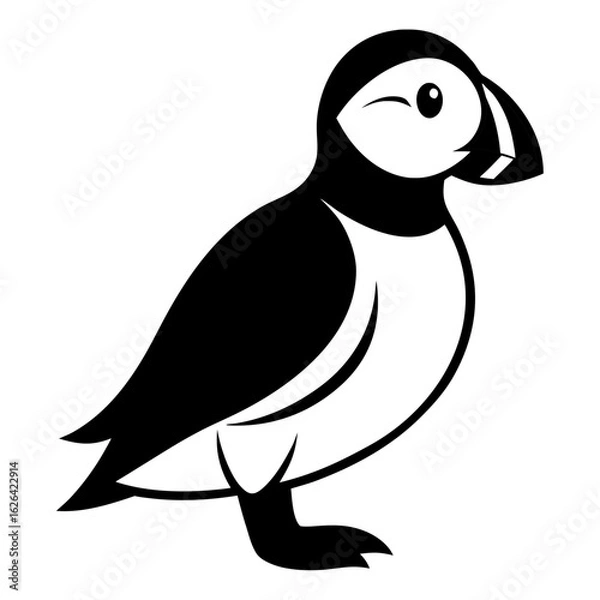 Fototapeta penguin vector illustration