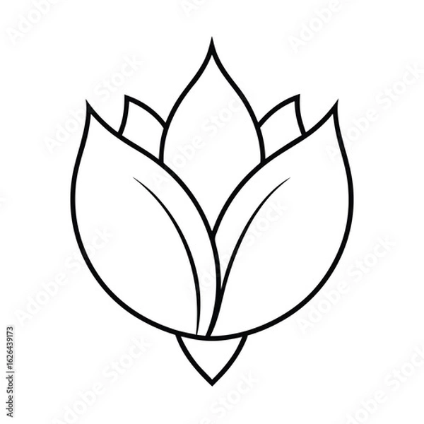 Obraz flower bud line art