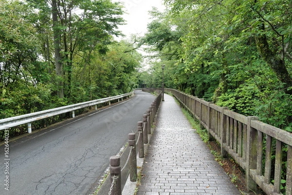 Fototapeta wooden bridge in the forest