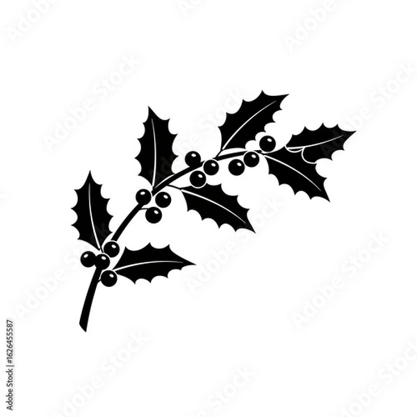 Fototapeta Silhouette of a holly branch with berries and leaves