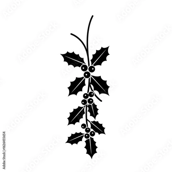 Fototapeta Illustration of a holly branch with berries and leaves silhouette