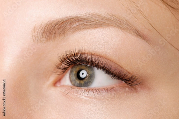 Obraz Closeup shot of female eye with day makeup