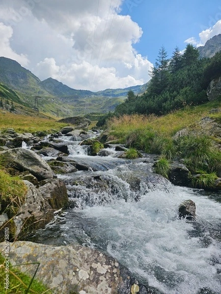 Fototapeta river in the mountains