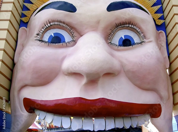 Obraz face