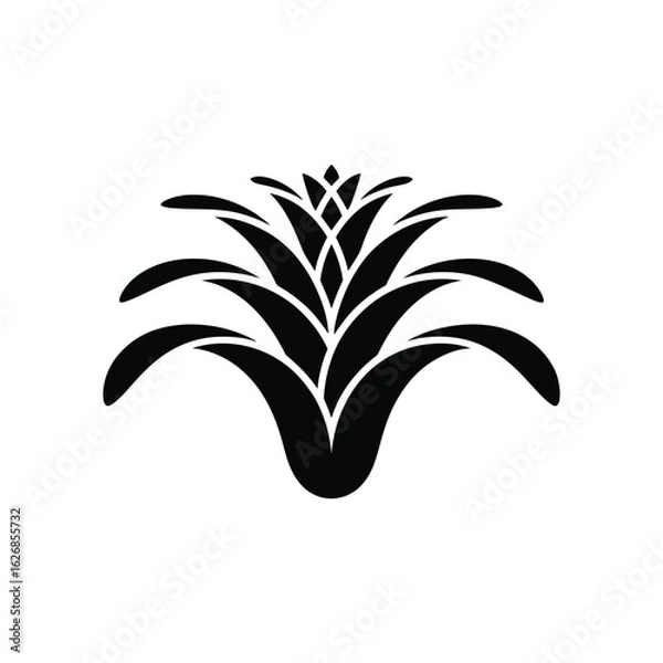 Obraz bromeliad vector silhouette