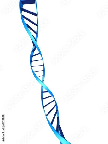 Obraz doppelhelix gene