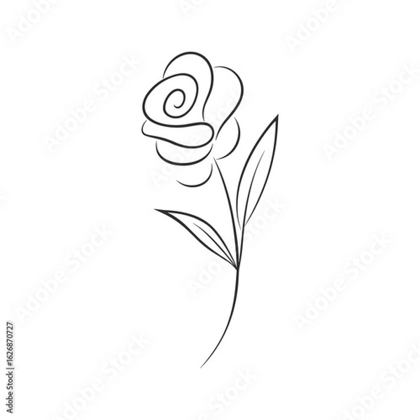 Fototapeta Minimal line art rose stem with leaves elegant outline