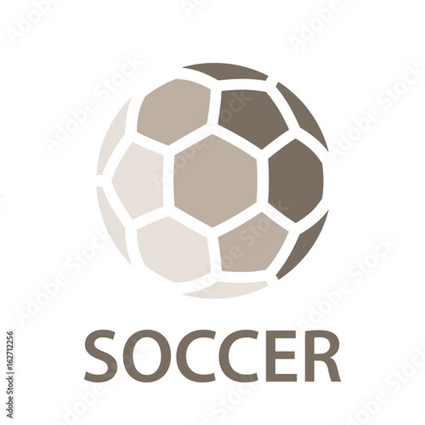 Obraz soccer ball brown icon symbol vector